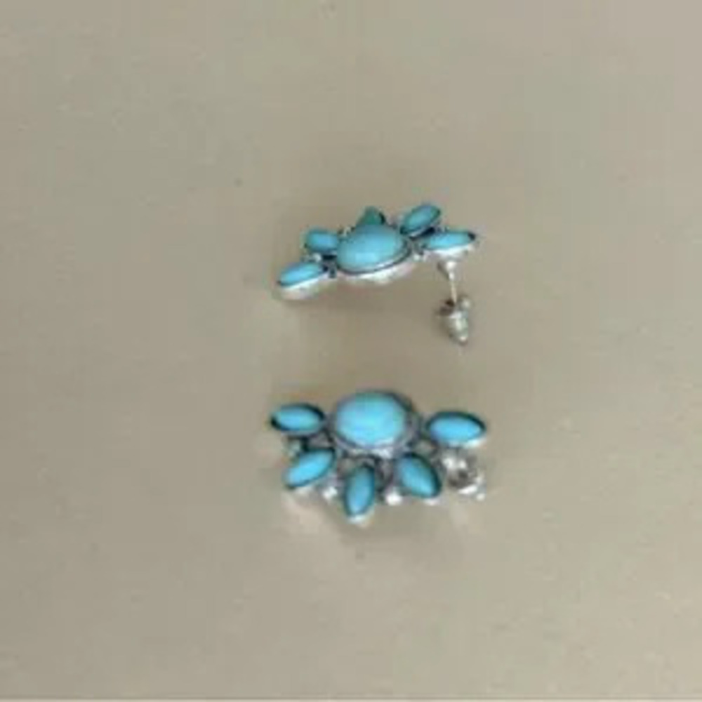 Boho flower Earrings?N1746
